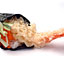 photography for japanese hand roll