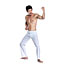 studio male kong-fu kick